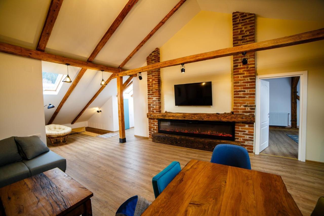 Alpine Loft Apartment Campulung Moldovenesc Exterior photo